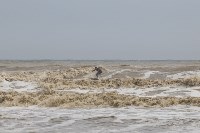 Сборная России по серфингу опробовала волны на западном и восточном побережьях Сахалина, Фото: 15