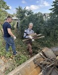 Уборка: Фото 1 Уборка, Фото: 1