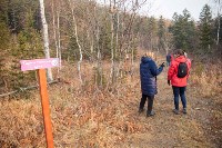 В Южно-Сахалинске закончили благоустраивать тропу на водопад Уюновский, Фото: 5