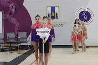 Открытый турнир по эстетической гимнастике прошел в Южно-Сахалинске, Фото: 19