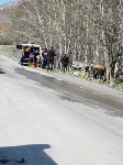 Водителя зажало в кабине "КамАЗа" на дороге к карьеру на юге Сахалина, Фото: 16