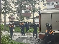 Кошку спасли при тушении пожара в Южно-Сахалинске, Фото: 5