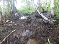 Места крушений двух военных самолетов обследовали сахалинские поисковики, Фото: 8