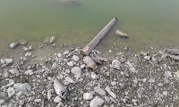 Берег озера в пригороде Южно-Сахалинска усеян мертвой рыбой, Фото: 1