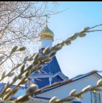 Ново-Александровск, Фото: 7