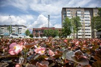 Цветы, Фото: 8