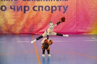Три сотни гимнастов встретились на турнире по чирспорту в Южно-Сахалинске, Фото: 19