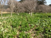 Тропа Столбовская в заповеднике Курильский, Фото: 10