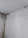 Жители дома в Александровске-Сахалинском жалуются на состояние квартир, Фото: 3