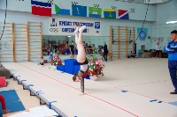 В Южно-Сахалинске состоялись соревнования по спортивной гимнастике, Фото: 12