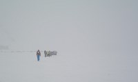 Ледовый фестиваль в бухте Тихая, Фото: 2