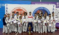 Сахалинские тхэквондисты завоевали 36 медалей на "Кубке Приморья 2023", Фото: 2