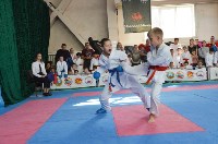 Три сотни юных каратистов сразились за медали турнира в Южно-Сахалинске, Фото: 12