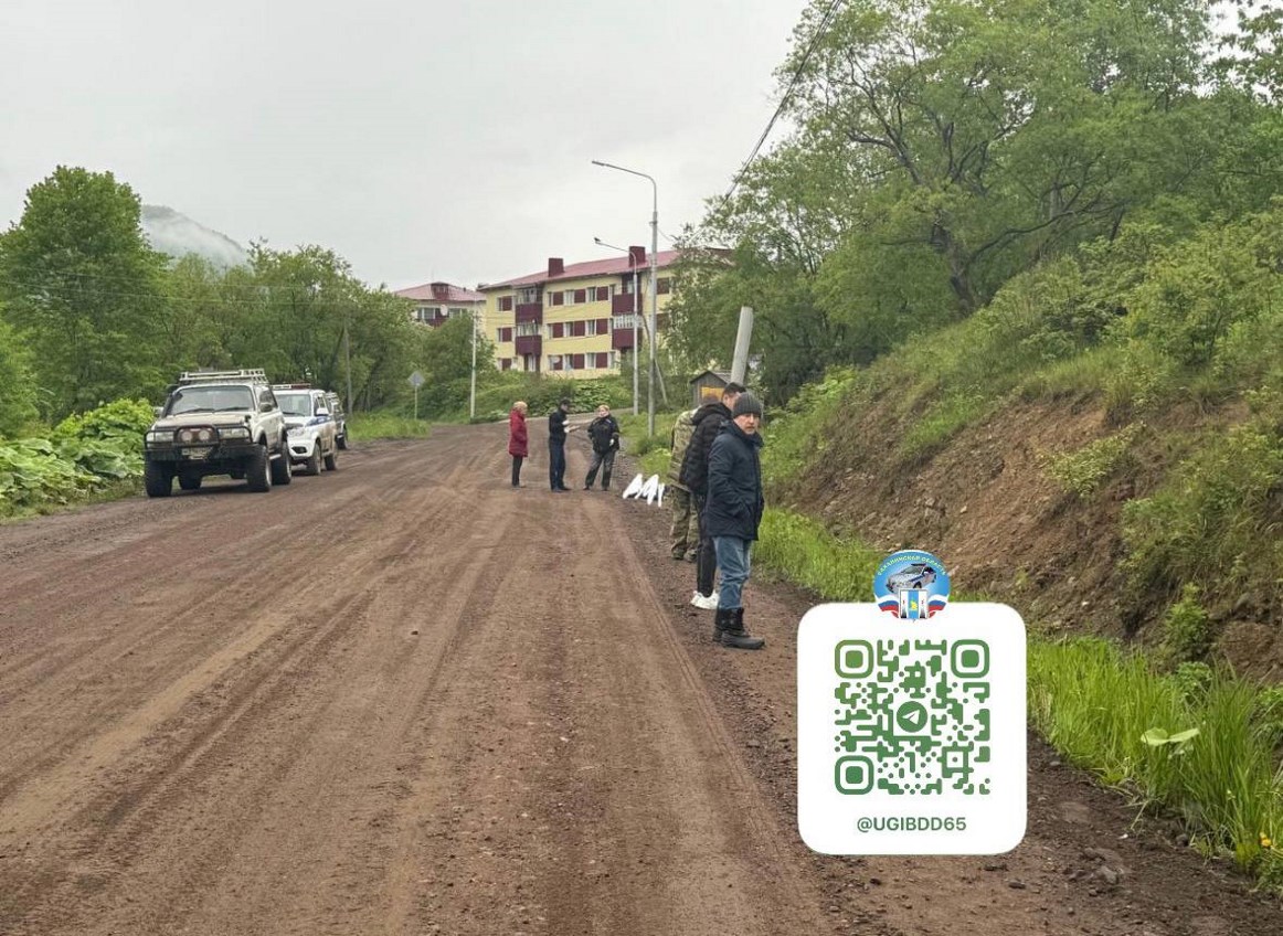 Молодой водитель без прав насмерть сбил пешехода в Бошняково - Новости  Сахалинской области. Происшествия – Фотогалерея, фото 1 - ASTV.ru