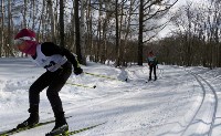 Лыжники из Южно-Сахалинска лидируют в турнире "Юный динамовец", Фото: 4