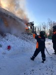 В СНТ "Солнышко" из огня спасли четыре кошки и одну собаку, Фото: 12