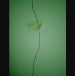 Педагоги сами мониторят состояние разрушающегося здания школы-детского сада в Кировском, Фото: 9