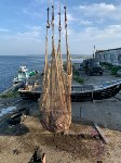 Сахалинские пограничники изъяли у браконьеров почти шесть тонн рыбы, Фото: 5