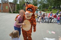 Тигру в сахалинском зоопарке исполнилось 9 лет, Фото: 8