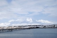 Колд-Бэй.Аляска.Сегодня., Фото: 11
