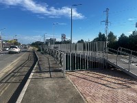 Роза таун, Фото: 1