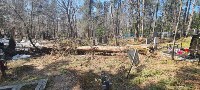 Неизвестные спилили деревья у могил и повредили оградки на кладбище в Южно-Сахалинске, Фото: 5
