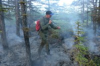 Ответственность за ликвидацию пожаров будут нести главы районов Сахалинской области , Фото: 16