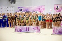  На Сахалине определили сильнейшие команды по эстетической гимнастике, Фото: 6