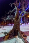 Новогодняя сказка в Южно-Сахалинске, Фото: 6
