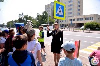 В Южно-Сахалинске «зебры» дополнили предостерегающими надписями, Фото: 1