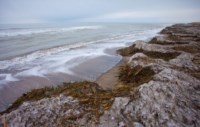 На берег море выбросило большое количество водорослей, Фото: 3
