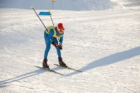 Лыжные гонки в рамках зимнего фестиваля ГТО, Фото: 17
