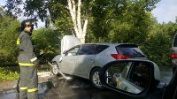 "Тойота" врезалась в дерево в Южно-Сахалинске, Фото: 2