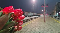 Пассажирок одарили цветами на вокзале в Южно-Сахалинске, Фото: 10