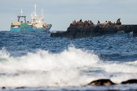 На Сахалине подсчитан ущерб от крушения танкера «Надежда», Фото: 3