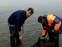 Дельфина спасли на Сахалине сотрудники МЧС , Фото: 1