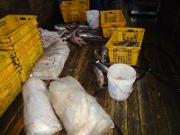 Жительница Поронайска открыла подпольный рыбный магазин , Фото: 4