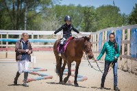 Соревнования по адаптивному конному спорту в Троицком - 2017, Фото: 5