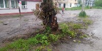 Mitsubishi врезался в дерево в селе Чехов, Фото: 3