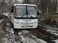 Очередной рейсовый автобус увяз в грязи в Елочках, Фото: 2
