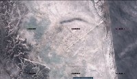 Экологи обвиняют "Эксон" в гибели сельди у берегов Сахалина, Фото: 7