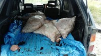 Десять тонн лосося изъяли у сахалинских браконьеров за неделю, Фото: 5