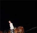 Ночная прогулка на лошади