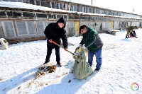 Больше 100 кг корма передали волонтеры сахалинскому приюту «Пес и кот», Фото: 6