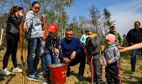 Сотни сахалинцев приняли участие во Всероссийской акции посадки леса, Фото: 4