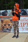 В рамках выставки беспородных собак в Южно-Сахалинске 8 питомцев обрели хозяев, Фото: 189