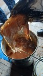 “Спрятали ухищрённым способом”: запрещённые предметы в ведре с краской нашли в колонии на Сахалине, Фото: 5