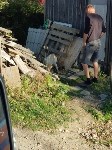 Спасение собак в Южно-Сахалинске, Фото: 3
