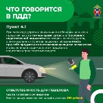 Осень на дорогах: стань заметнее, чтобы вернуться домой: Фото 2 Осень на дорогах: стань заметнее, чтобы вернуться домой, Фото: 2