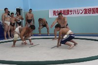 Впервые в истории на Сахалине прошел турнир по борьбе сумо, Фото: 9